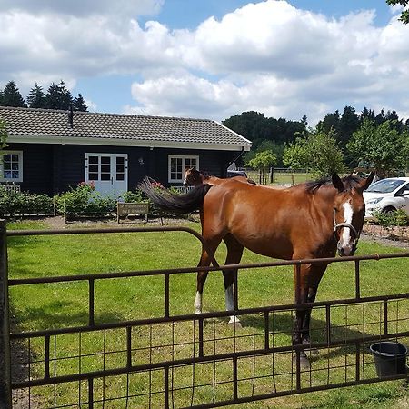 De Priesnitzhoeve Laag-Soeren Bagian luar foto