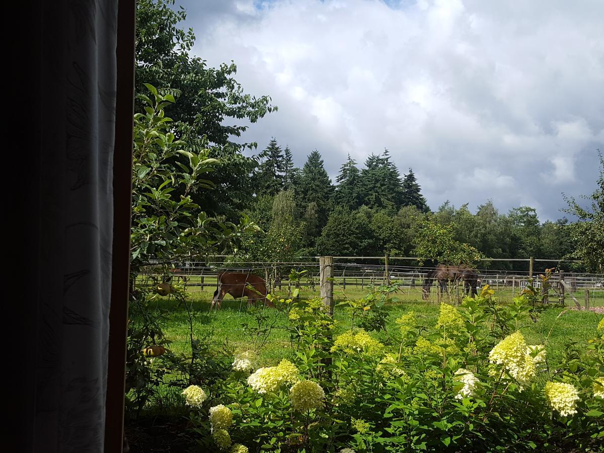 De Priesnitzhoeve Laag-Soeren Bagian luar foto