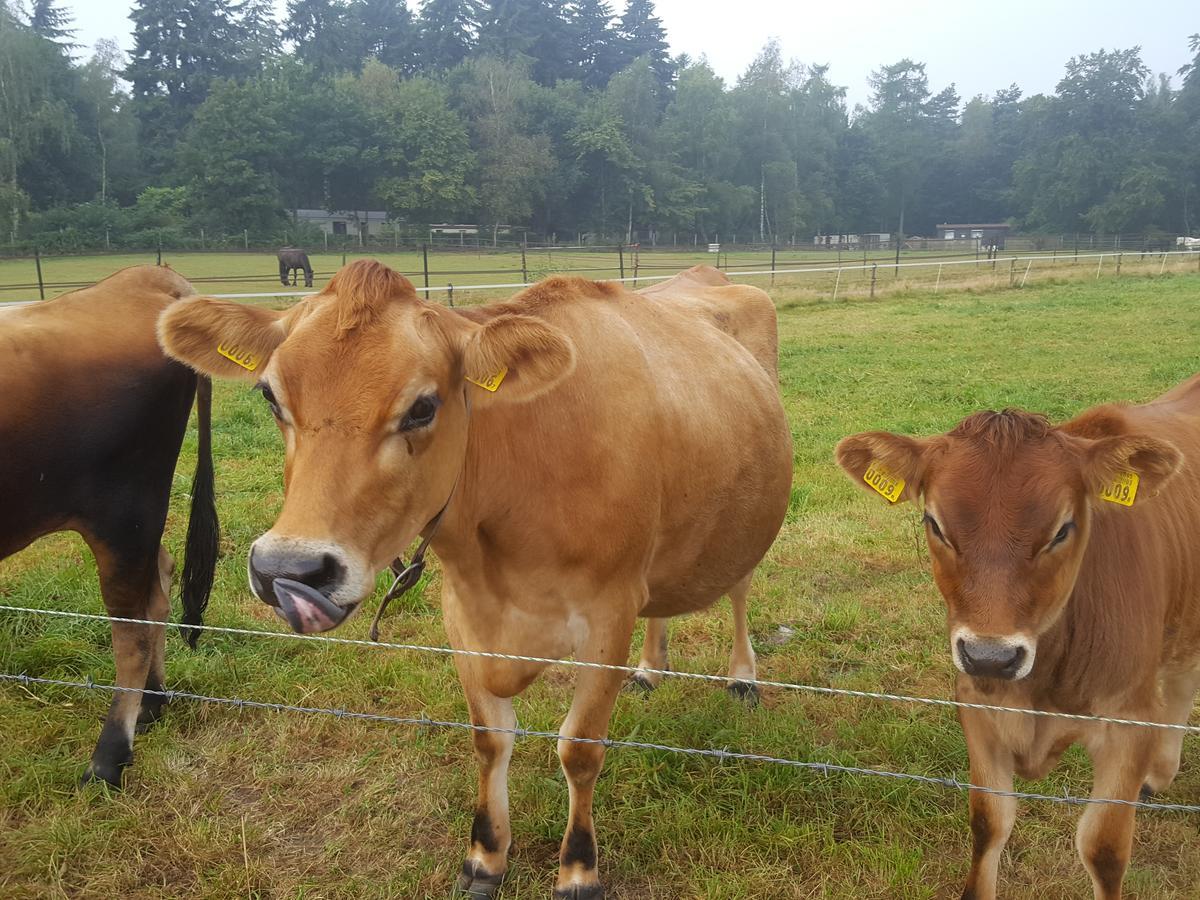 De Priesnitzhoeve Laag-Soeren Bagian luar foto