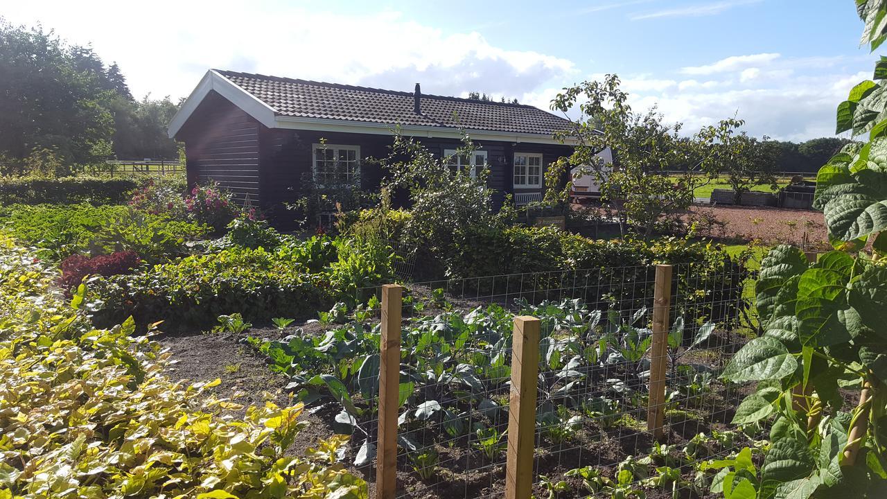 De Priesnitzhoeve Laag-Soeren Bagian luar foto